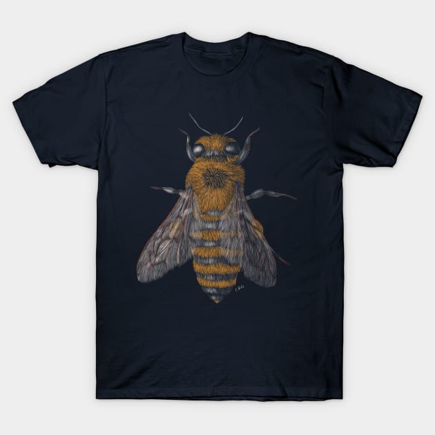 Honey Bee T-Shirt by Walking in Nature